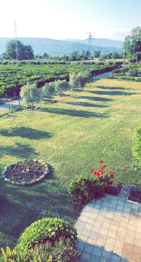 Casa Nita Apartman Ulcinj Kültér fotó